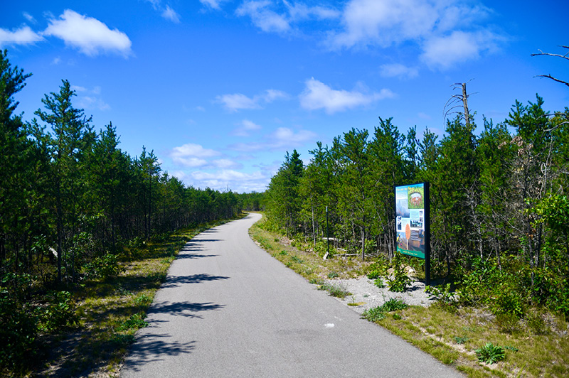 Forest Heritage Trail